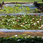 IMG_5430 (Copier)