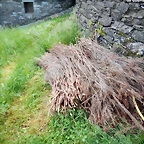 DSCN4772