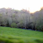 DSCN9154
