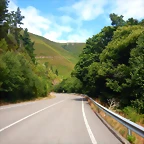 DSCN6585