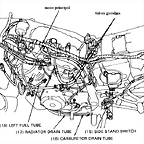 lateral izquierdo