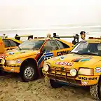 peugeot-205-turbo-16-grand-raid