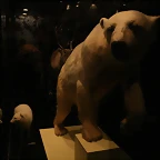 Amsterdam 29-12-2010 1431