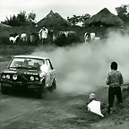 Datsun 510 - Safari Rally '69