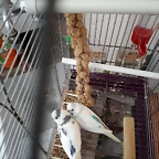 20190507_200343