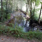 DSCN4380