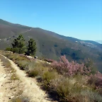 DSCN2628
