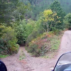 Pia Paxaro 063