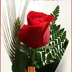 sant jordi