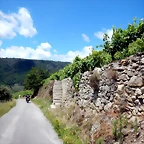 DSCN7800