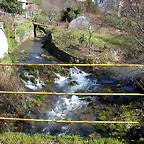 DSCN7925