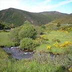DSCN8026