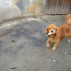 DSCN0572