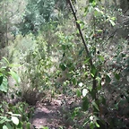 PICT0067