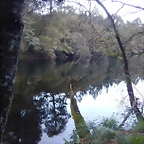 DSCN3764