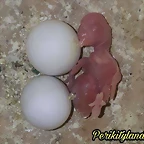 FB_IMG_1539348402814