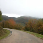 DSCN5987