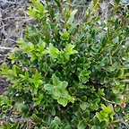 IMG_20210106_163239