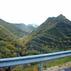 DSCN6050