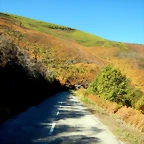 DSCN9178