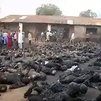 Cristianos quemados vivos