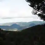 De vuelta a casa, en los Pinares de Soria