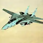 Tomcat-over-desert