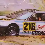 rally