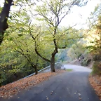 DSCN8630