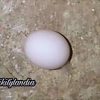 FB_IMG_1542318201142