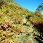 DSCN8048