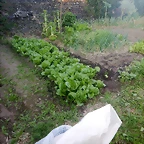 DSCN6286