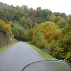 DSCN5976