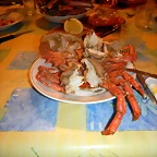 DSCN2404