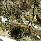 DSCN0226