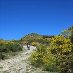 17-IMG_6503