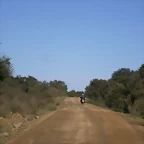 P1130137