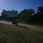 P1130138
