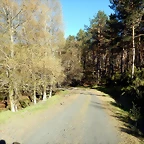 DSCN9042