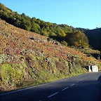 DSCN6473