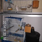 CIMG0619