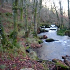 DSCN2089