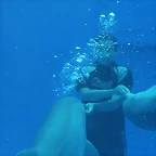 Zoo de Barcelona 589