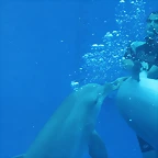 Zoo de Barcelona 590