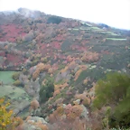 DSCN1055