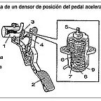 aceleradorsin