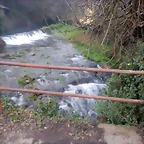 DSCN2416
