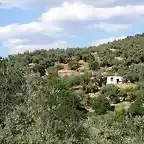 cortijo de jarillo