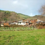 DSCN3272