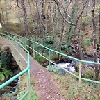 DSCN1296